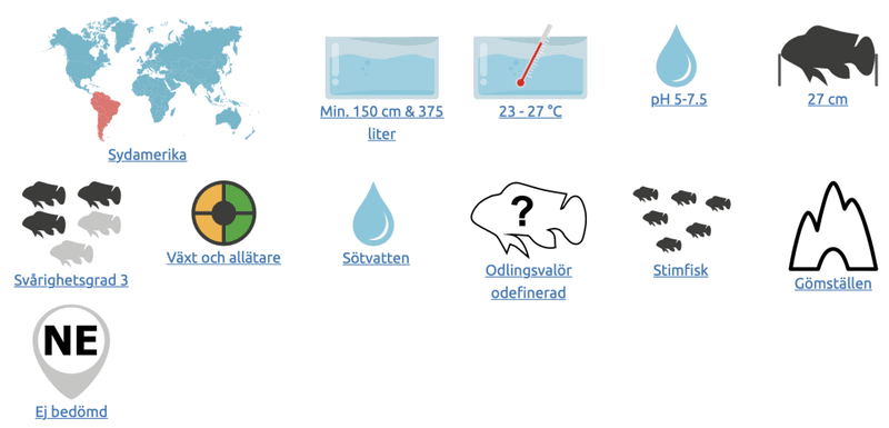 Myleus schomburgkii Svartbandad skivtetra