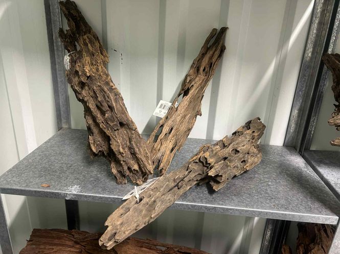 Huvudbild HONEYCOMB WOOD M