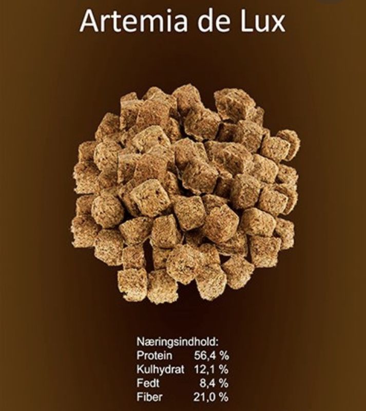 Artemia de Lux