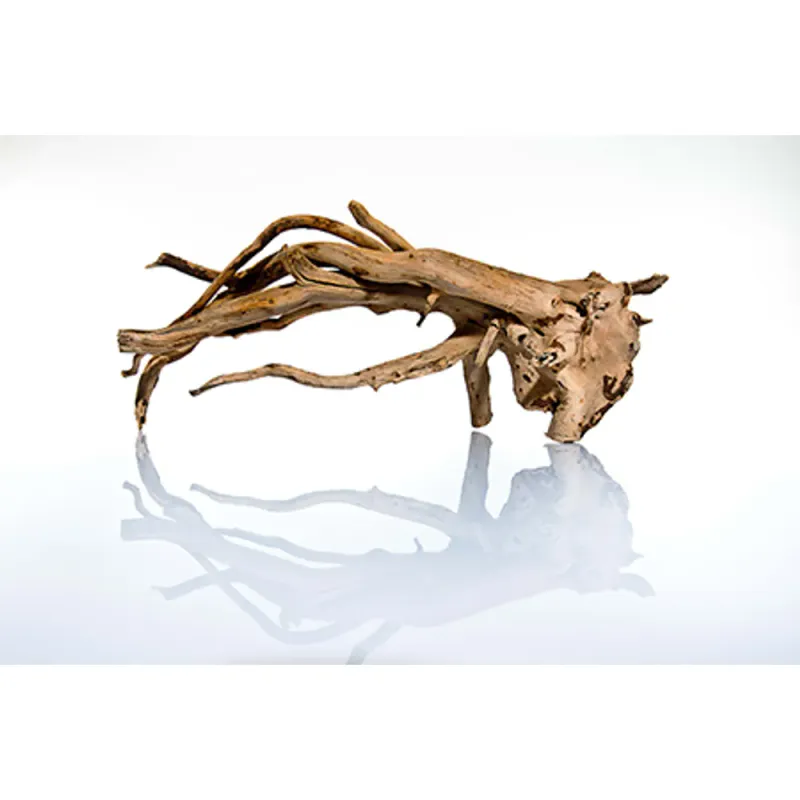 Talawa Wood 50 - 70cm 