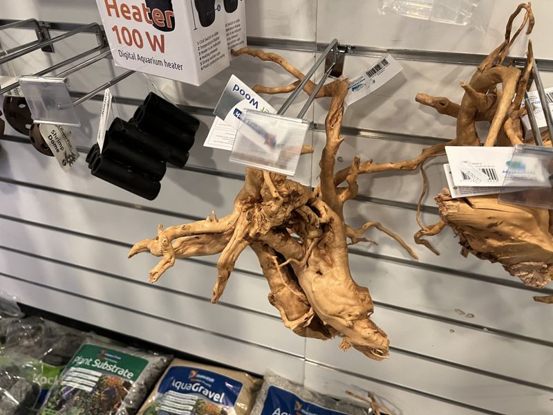SPIDER WOOD S