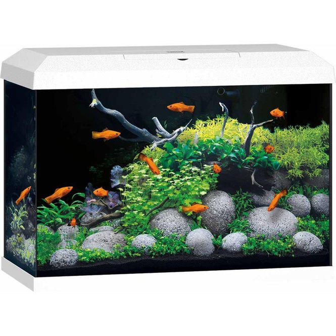 Huvudbild Juwel Akvarium Primo 70 2.0 61x31x44cm 