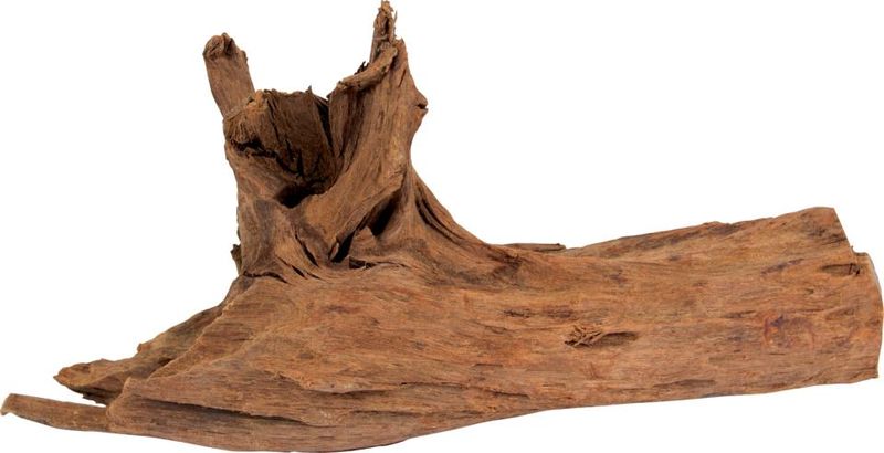 Mangrove trädrötter XXL - 50cm- 65cm
